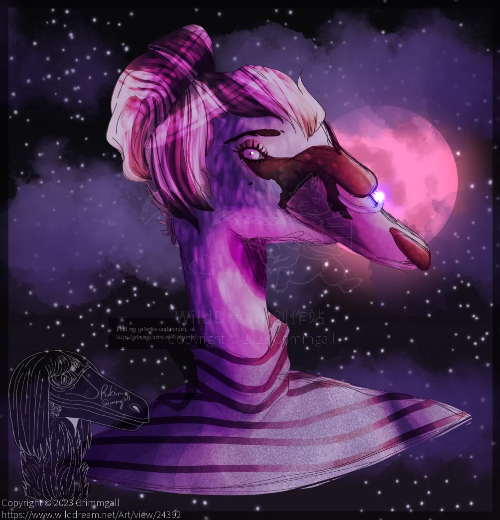 Una Olor by Grimmgall, swan, cygnus olor, mute swan, bird, avian, waterfowl, female, girl, character, headshot, night sky, anthro, furry, animal