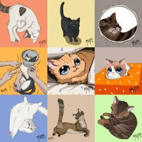 猫合集