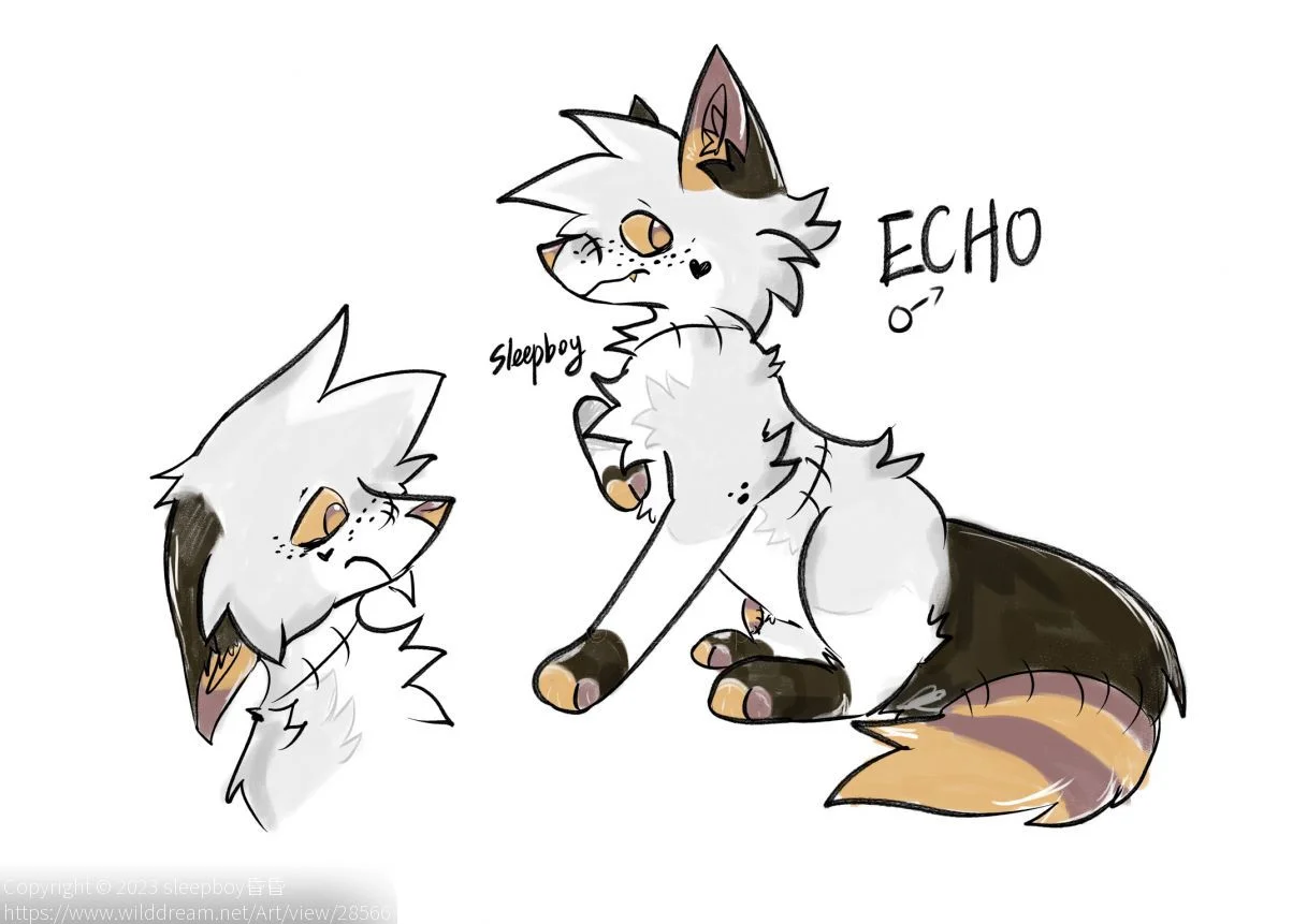 Echo by sleepboy昏昏, 电子绘画
