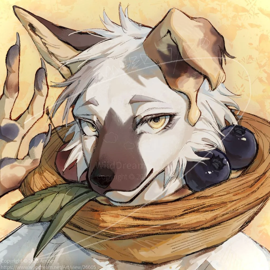098B4A89-88B6-47A7-8035-6713C15AE1C7 by Amber