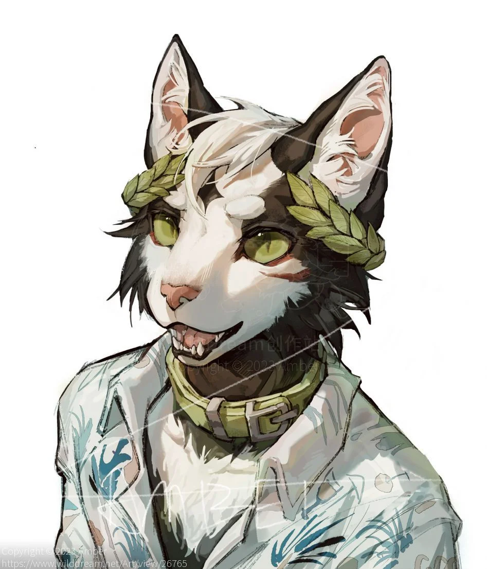 10CADFC9-8F75-48AA-933D-5DCAC92B03E3 by Amber