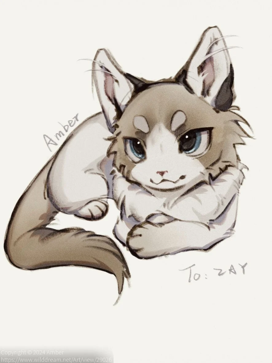 🐱 by Amber