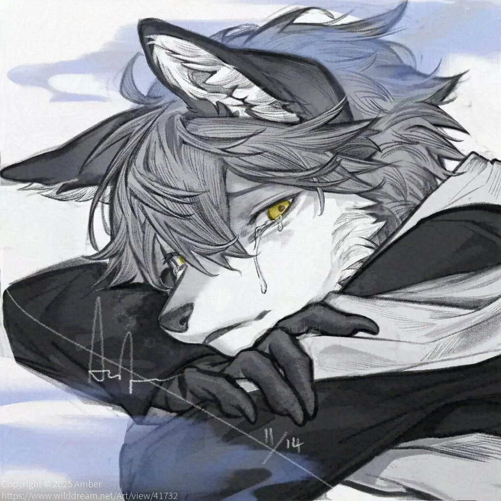2025/11/14 by Amber
