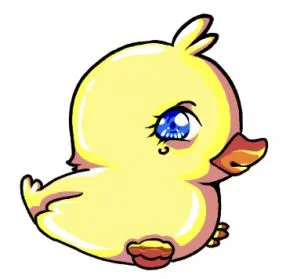 小鴨