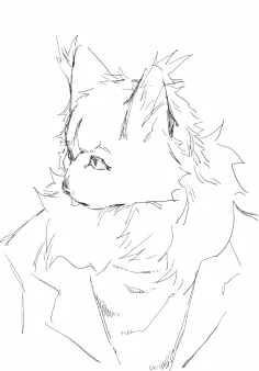 大猫咪