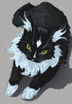 小猫咪