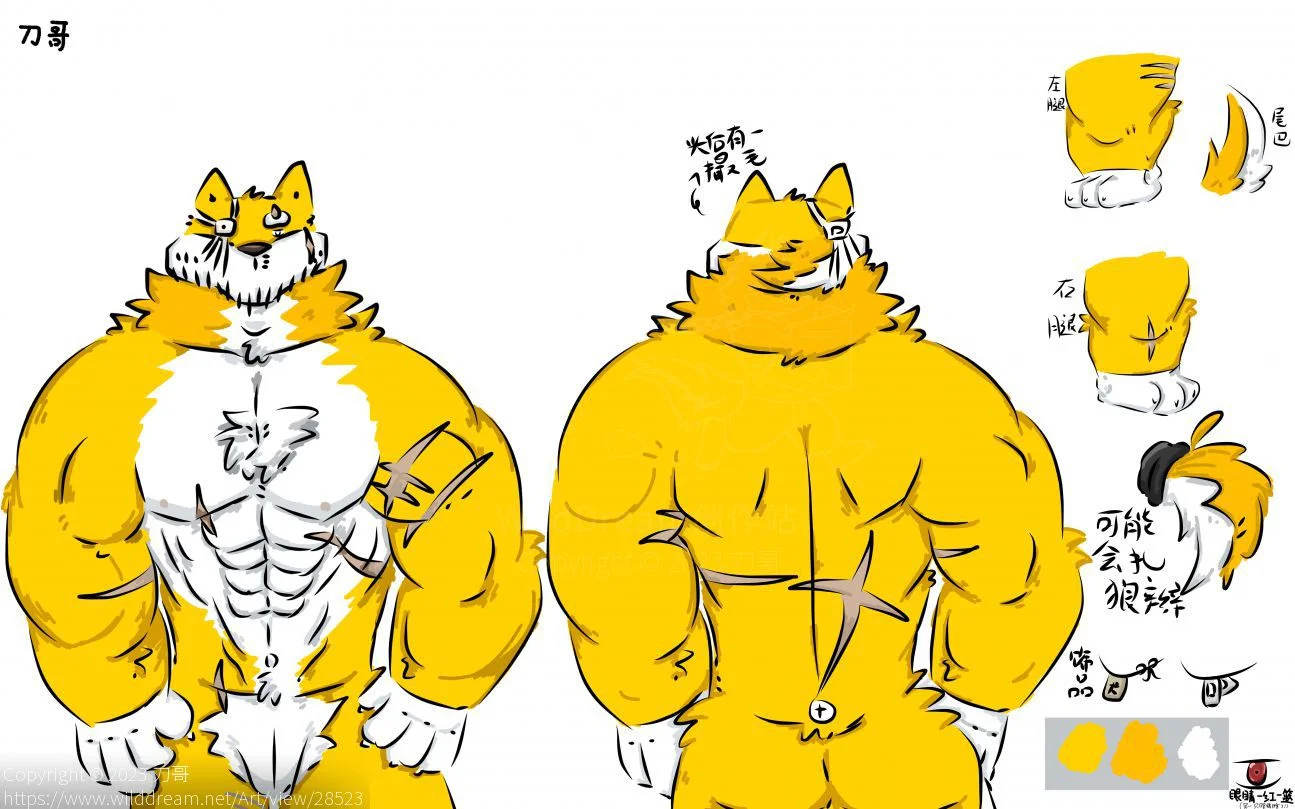 自设 by DogerShibainu32, 柴犬, 犬兽人