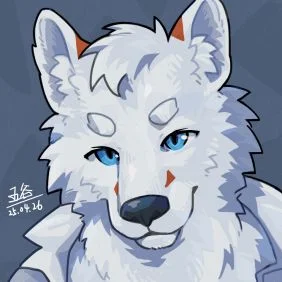 250428 - 小趴