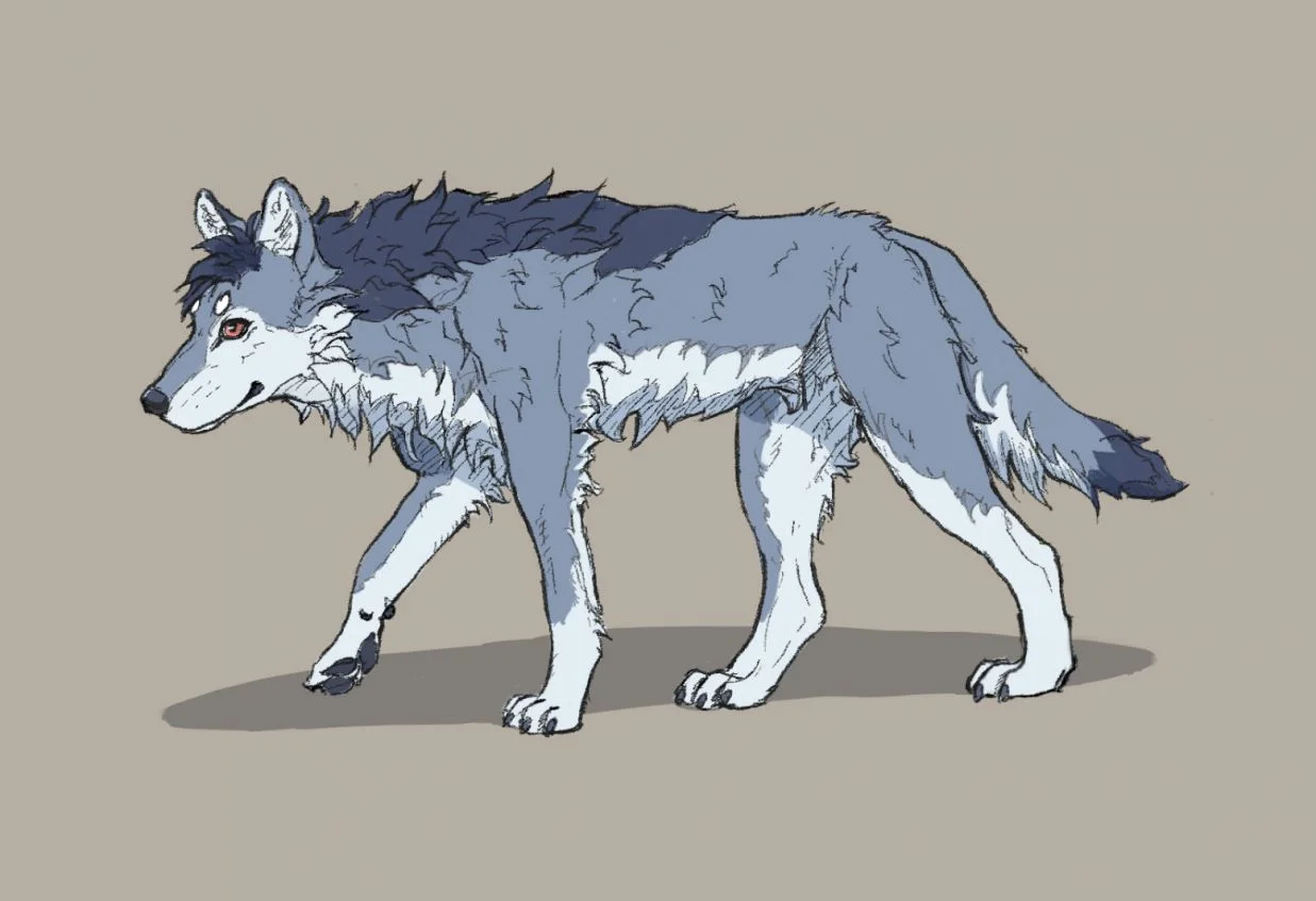 Study by noctivis, wolf, 狼