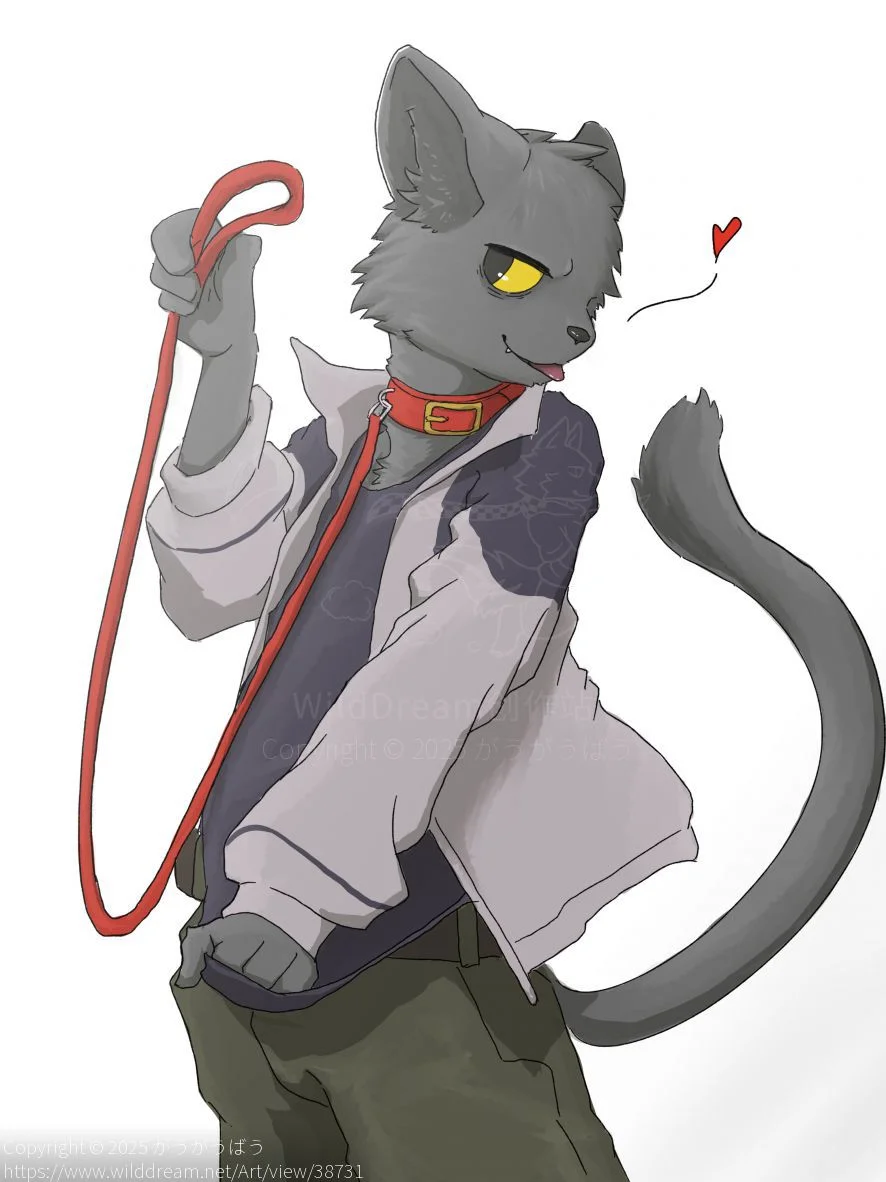 Take me for a walk by がうがうばう, black cat, furry