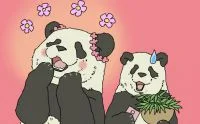 美美，吃根竹子冷静一下
