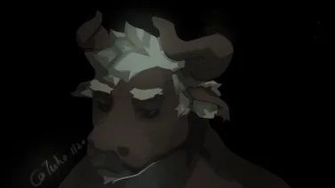 寂夜
