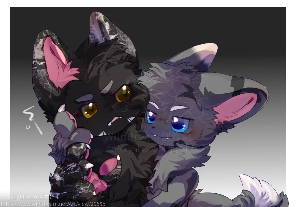 oc:灰雾淞and黑炽毛贴贴 by 牛奶毛, furry, oc, 猫猫, 白糖书