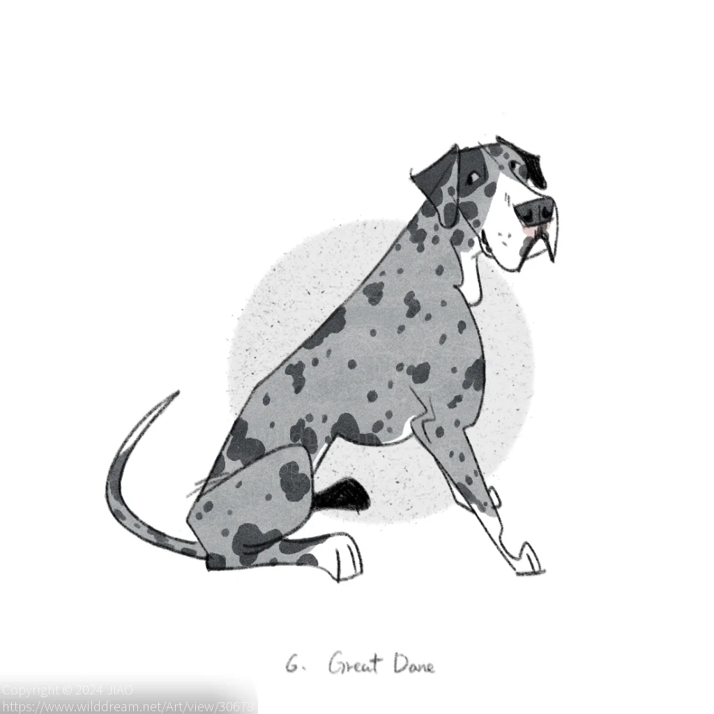 大丹犬_Great Dane by JIAO