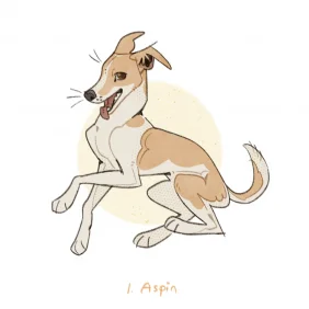 菲律宾本土犬_Aspin