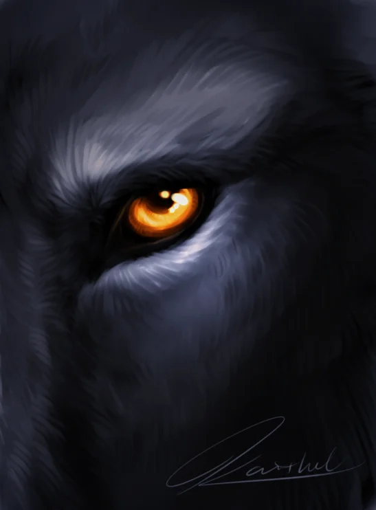 Wolf Eye by PhantomSpark