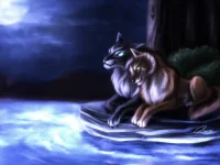 湖边夜色