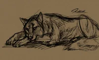 wolf_sketch