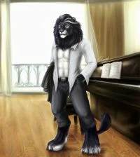commission__the_pianist_leo