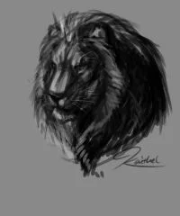 lion_close_up