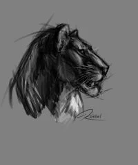 lioness_close_up