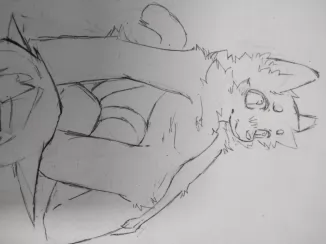 摸鱼喵