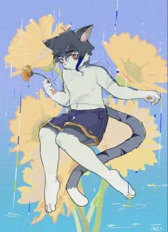 雨