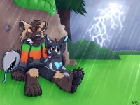 In the Storm