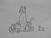 老图摸鱼一张
