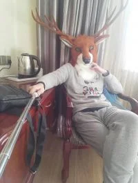 鹿鸣