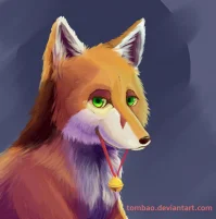 nuvola
