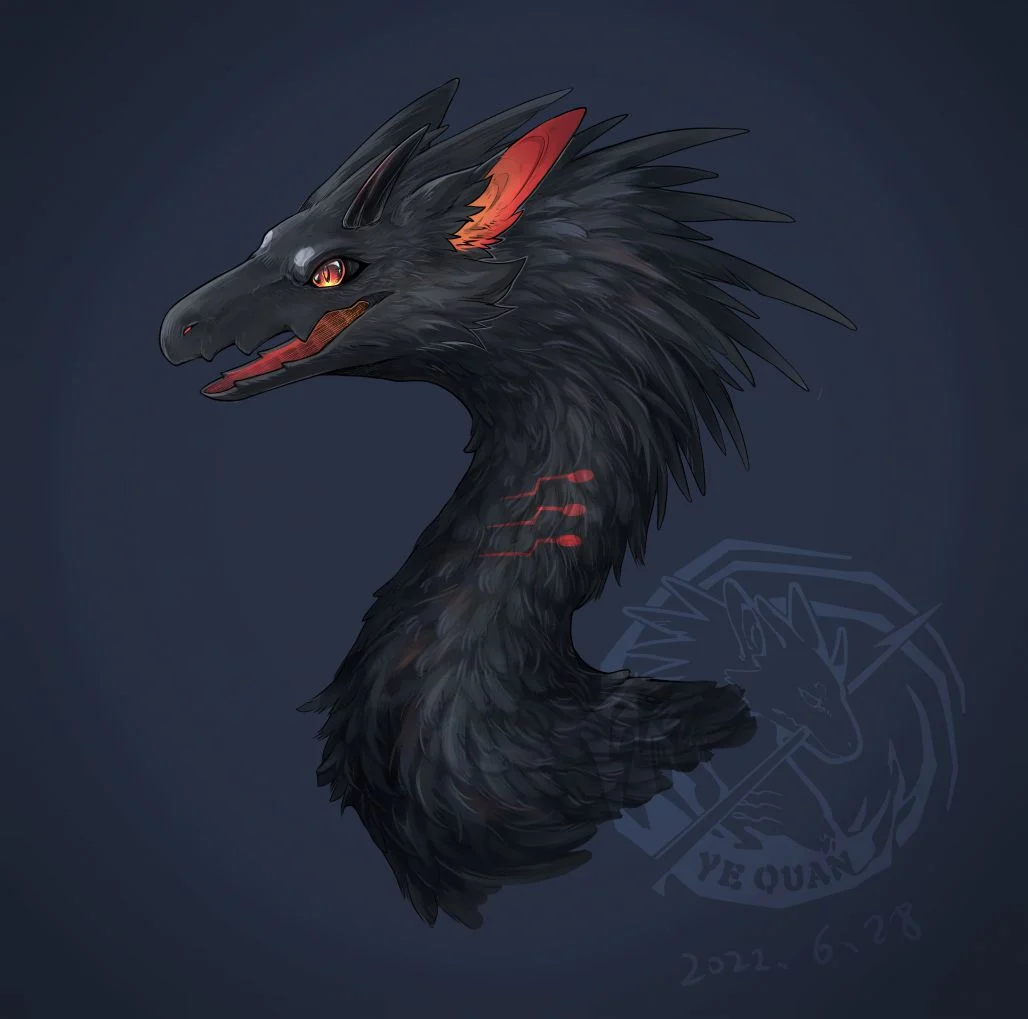 挲夜脑壳 by 夜犬