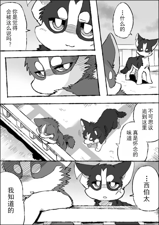 5-37 by 助屋催更办