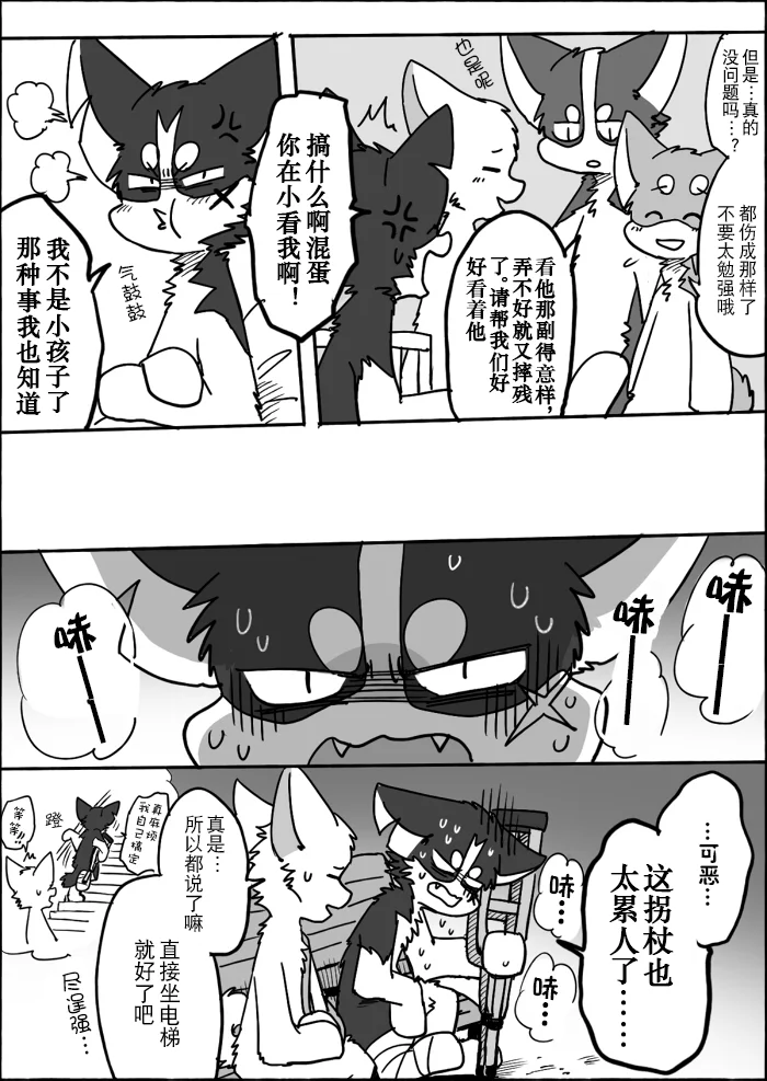 11-20 by 助屋催更办