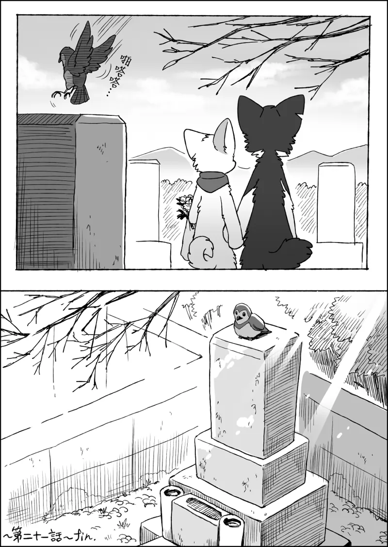 21-46 by 助屋催更办