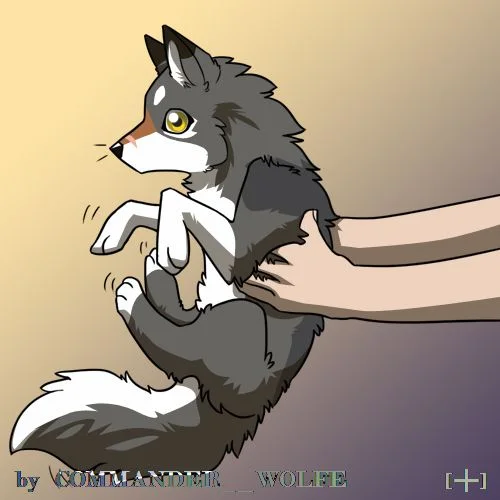 模板-递卡卡 by COMMANDER--WOLFE