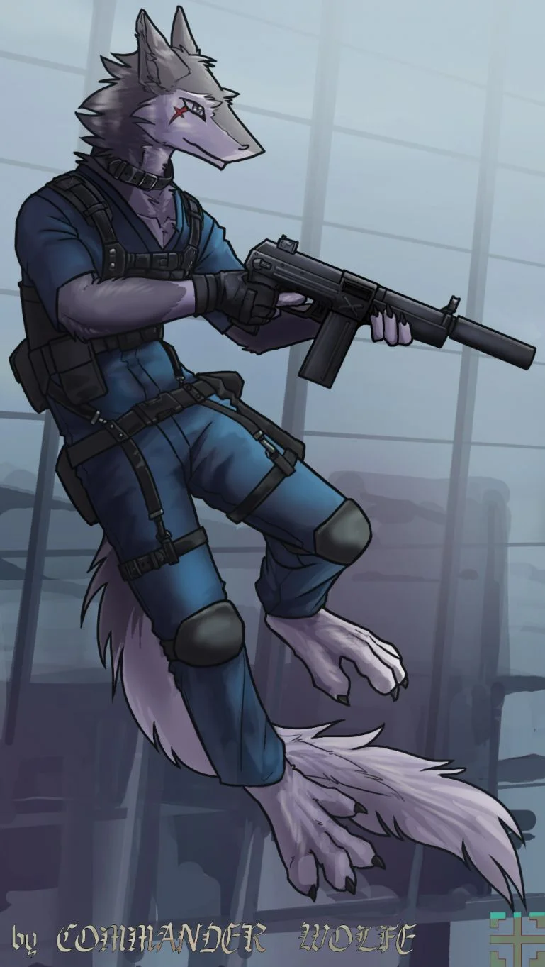 委托 by COMMANDER--WOLFE