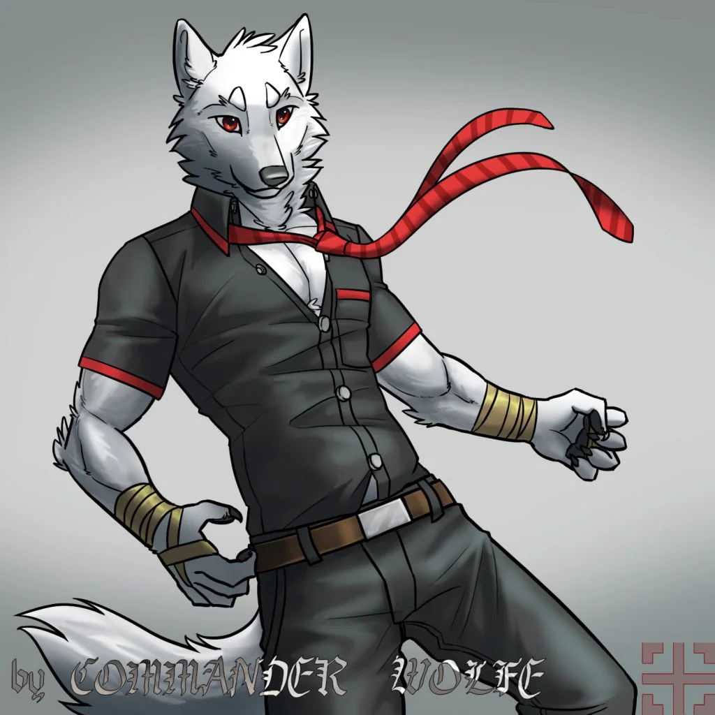 衣服完整版 by COMMANDER--WOLFE