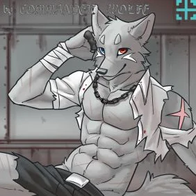 给白白的赠图