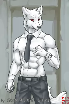 D-5-3 by COMMANDER--WOLFE