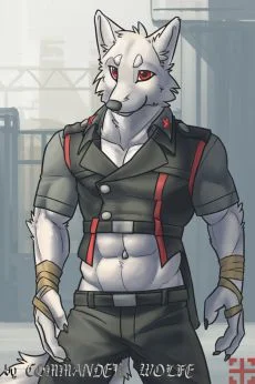 D-9 by COMMANDER--WOLFE