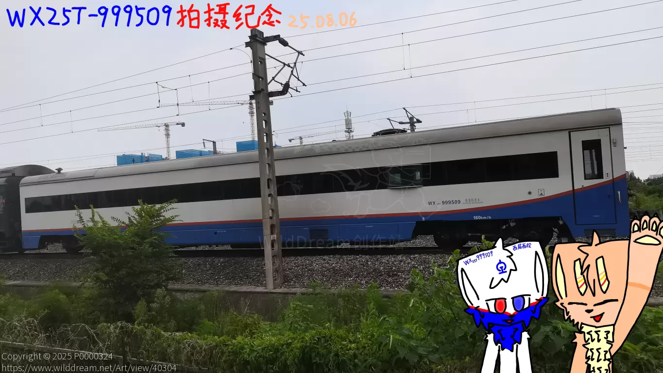WX25T-999509 拍摄纪念 25.08.06(25.08.11) by P0000324
