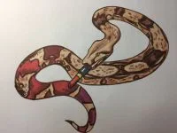 33