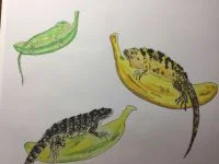 40 by 七彩