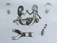 a (14)