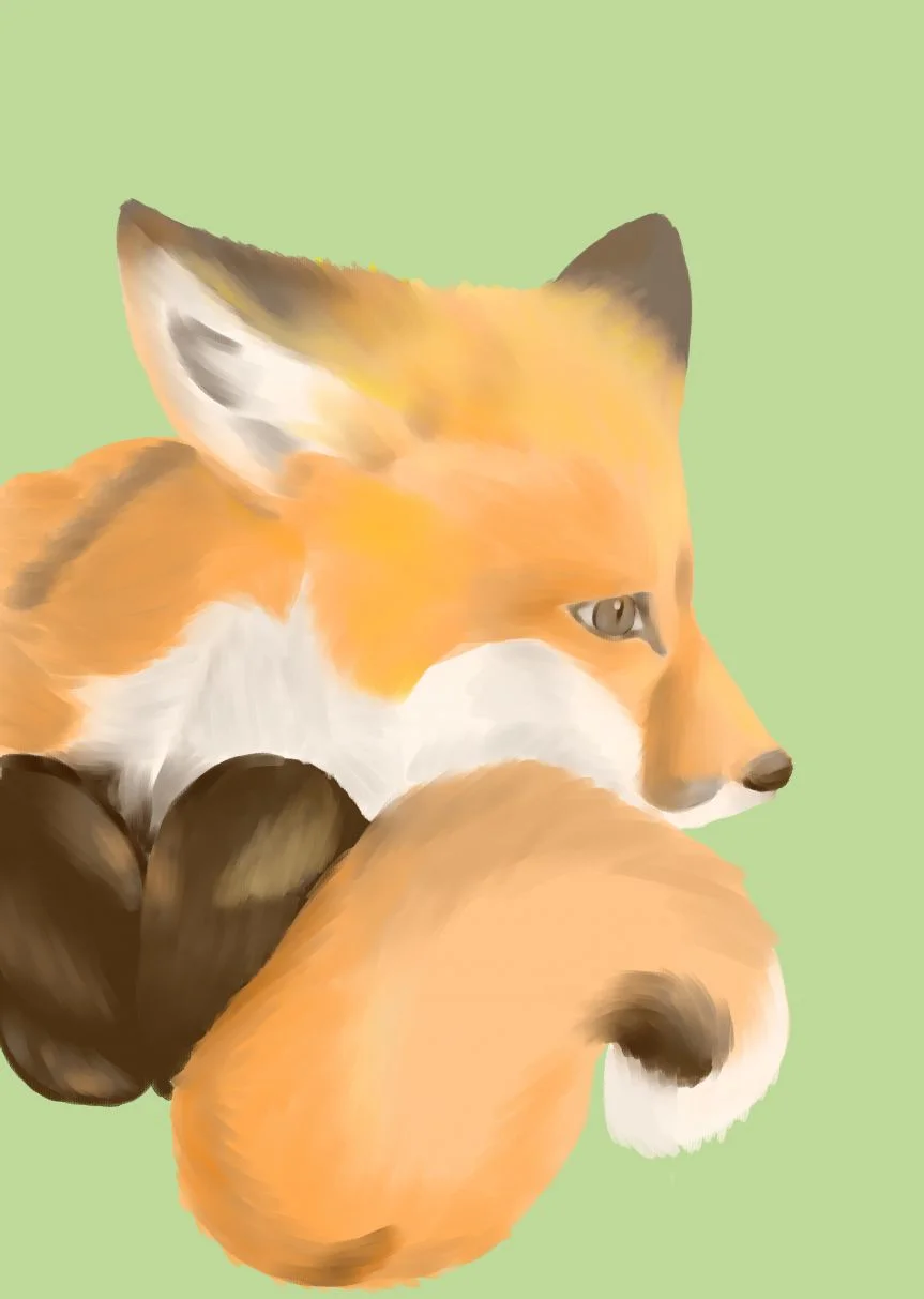 Fox by Korine7