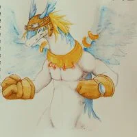  风龙