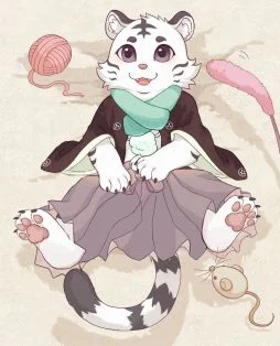 2024.927小虎委托