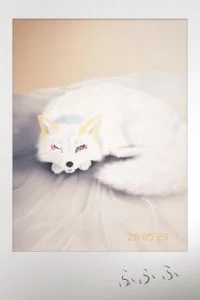 床太干净了容易长狐狸哦