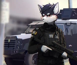 委托展示 